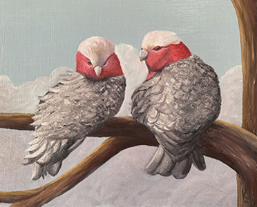 A Couple of Wind Swept Gallahs - Kelly Logan