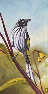 On Alert - New Holland Honeyeater - Kelly Logan